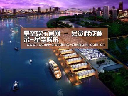 案例展示八