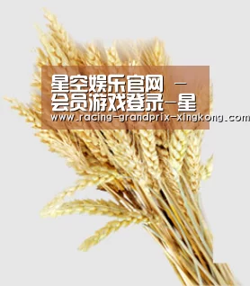 星空娱乐官网 - 会员游戏登录-星空娱乐