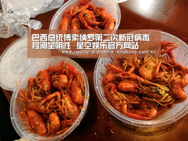 巴西总统博索纳罗第二次新冠病毒检测呈阴性-星空娱乐官方网站(图3) 星空娱乐