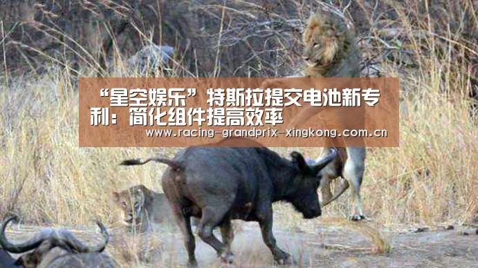 “星空娱乐”特斯拉提交电池新专利:简化组件提高效率(图3) 星空娱乐