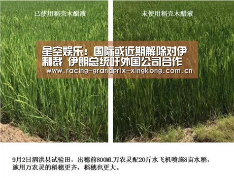 星空娱乐:国际或近期解除对伊制裁 伊朗总统吁外国公司合作(图3) 星空娱乐