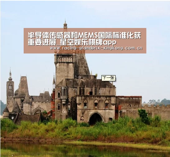 半导体传感器和MEMS国际标准化获重要进展_星空娱乐棋牌app(图4) 星空娱乐官方网站