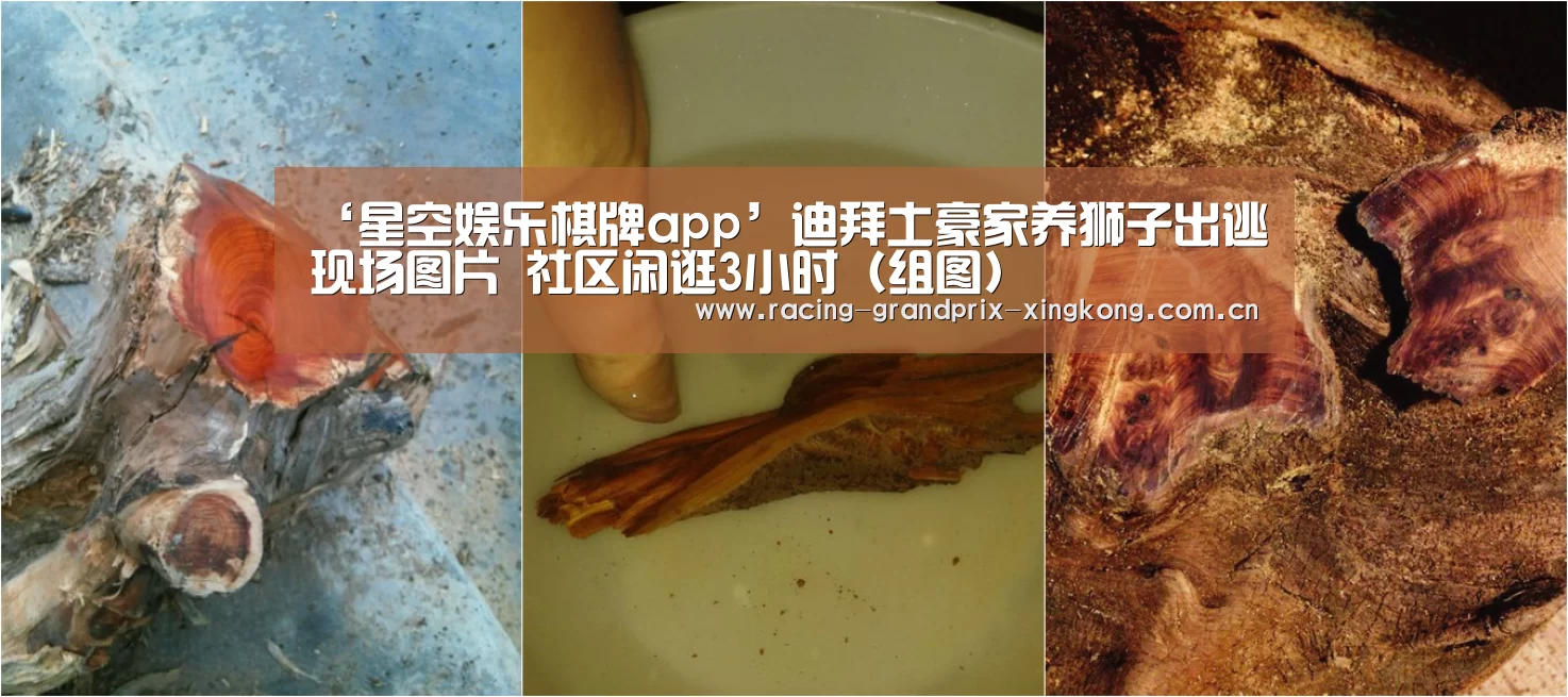星空娱乐